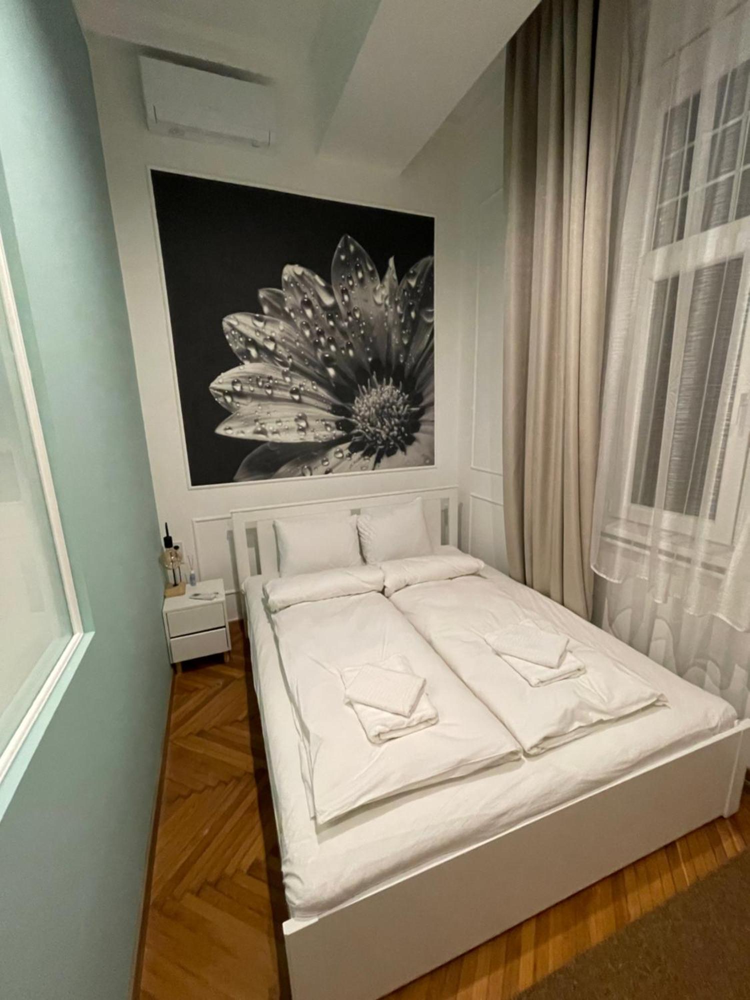 בודפשט Flower Apartment מראה חיצוני תמונה